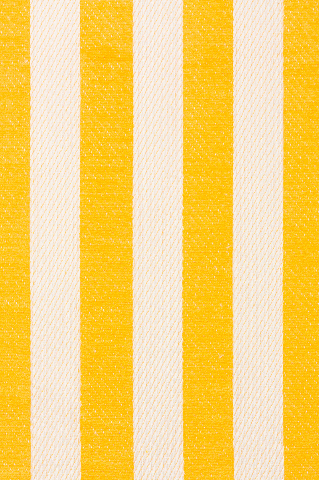 8956 Sun