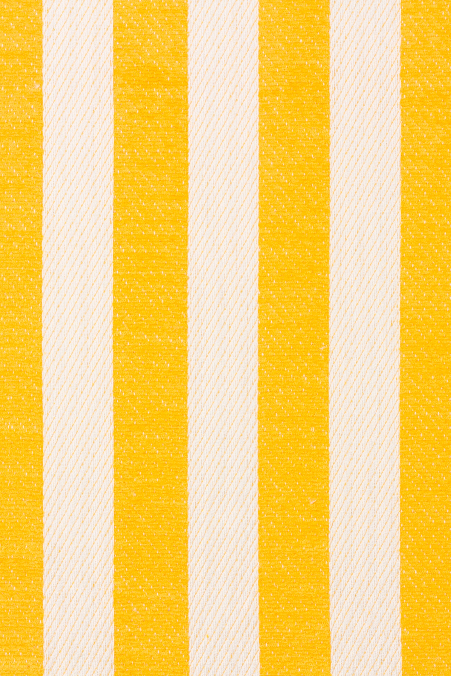 8956 Sun